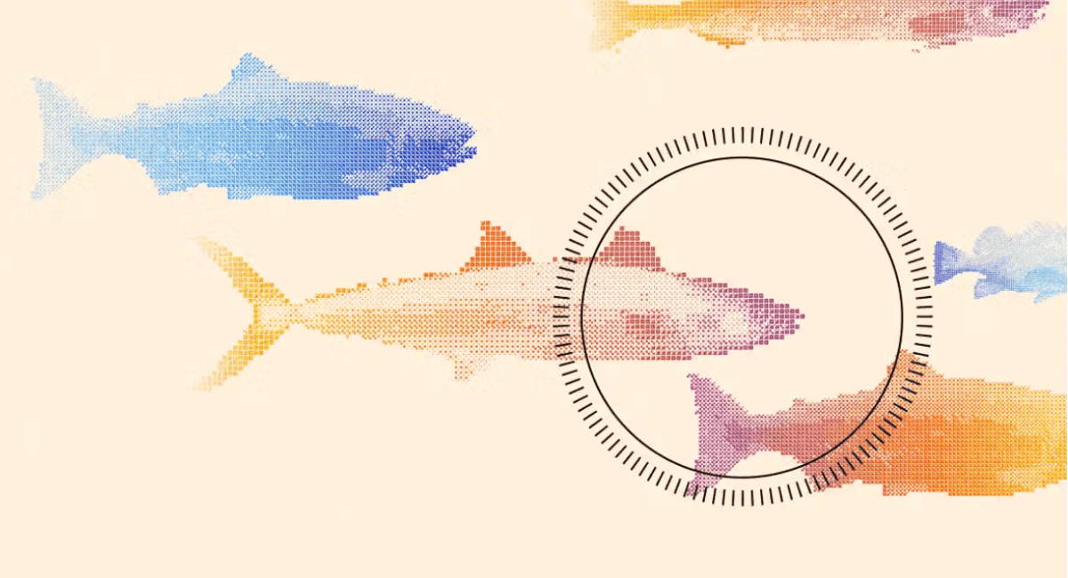 Startup Shinkei cria robô com IA para abate humanitário de peixes, e atrai investimento da Founders Fund