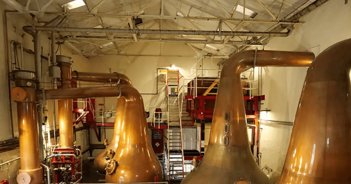 A Fragilidade do Moat em Plataformas de IA face à Distillation