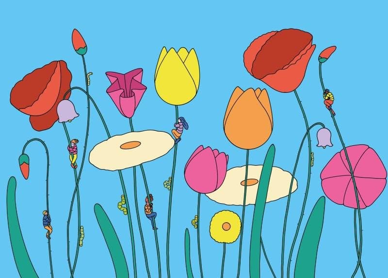 A linguagem visual naturalmente revigorante do Sour Soda Studio
