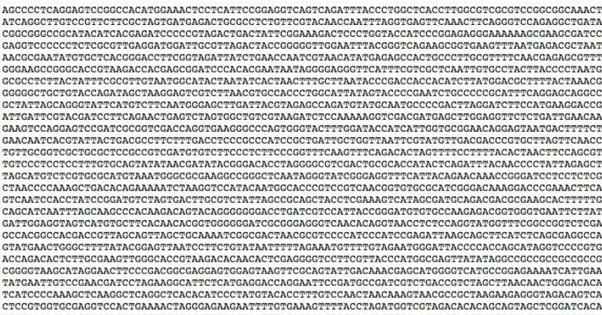 DNA e redes neurais: quando dados inertes só ganham sentido com processamento