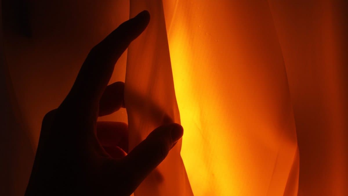 Genesis: quando luminárias de bioplástico desafiam a ideia de permanência no design