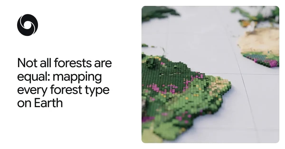 Google DeepMind e parceiros lançam ForTy 2020, mapa global que classifica florestas em seis tipos a 10 metros de resolução