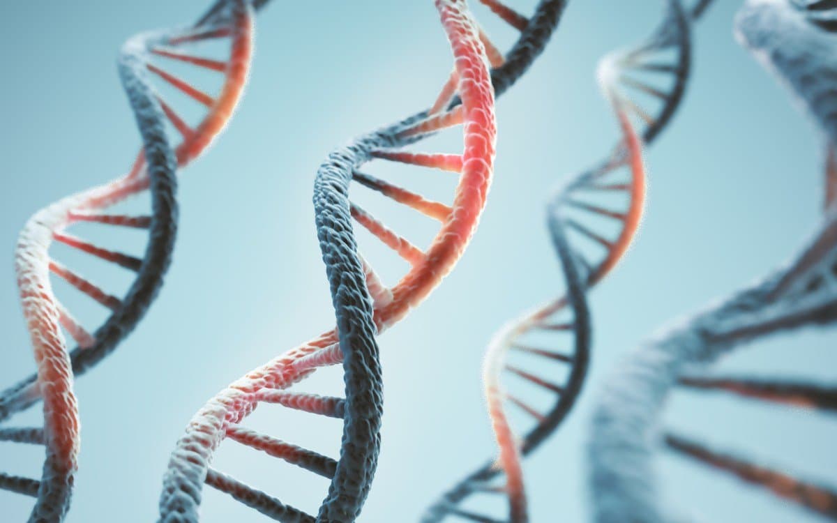 Anthropic opera laboratório de biologia com foco em pesquisa fundamental e acesso a modelos de IA