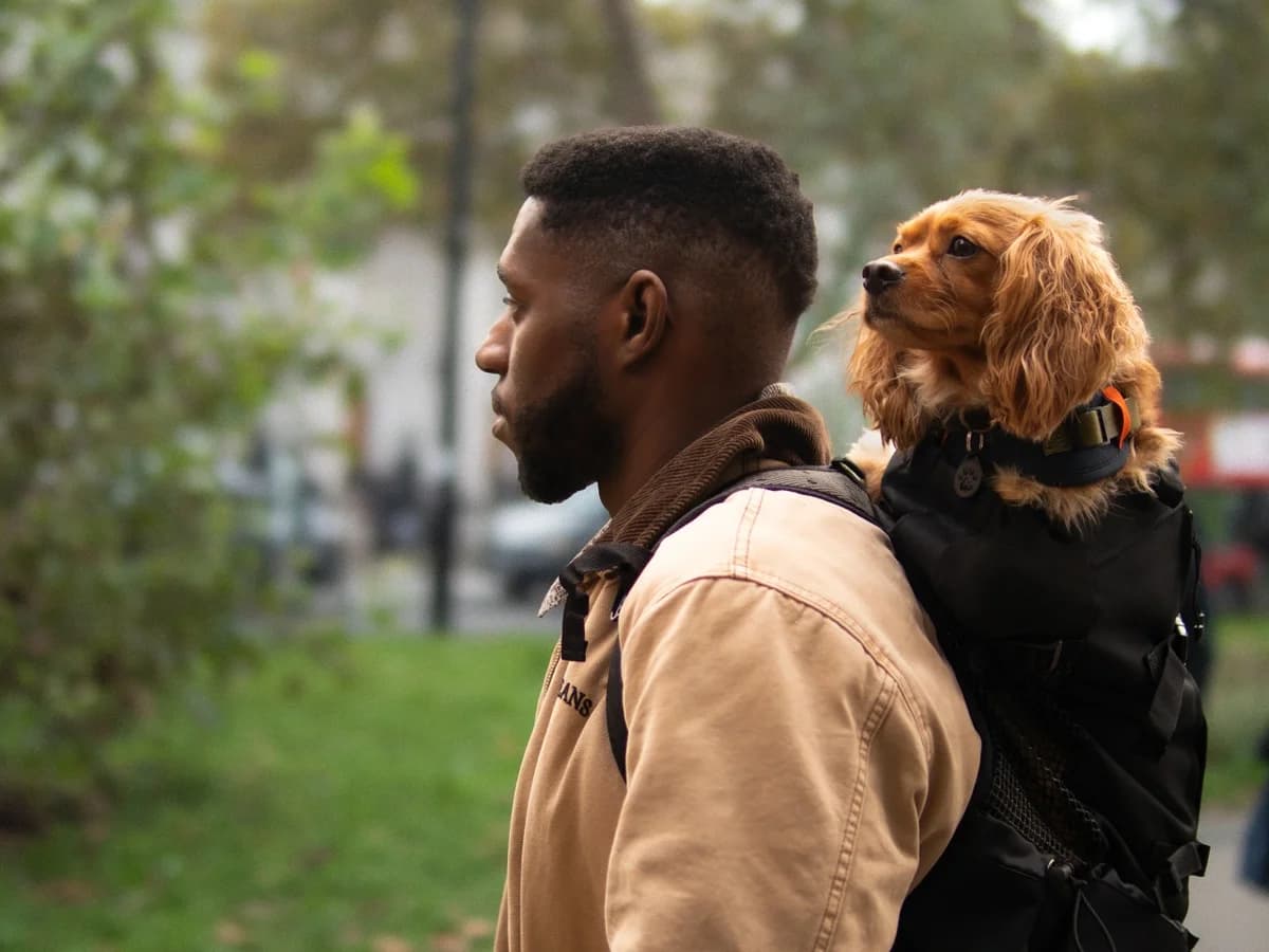 Aos 30 anos, Kent Wood migrou para o motion design e transformou marcas estáticas em sistemas de identidade dinâmicos