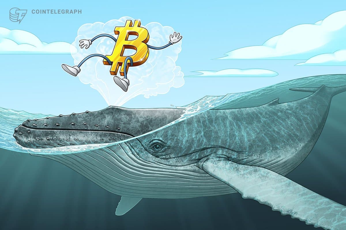 Bitcoin da 'Satoshi-era' acorda após 16 anos, movimentando 600 BTC