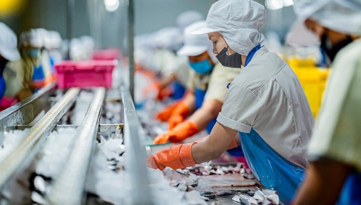 Cadeia de suprimentos de alimentos do Reino Unido em risco de ataques hostis