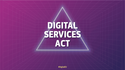 Text "Digital Services Act" inside a white triangle inside a white triangle against a purple background.