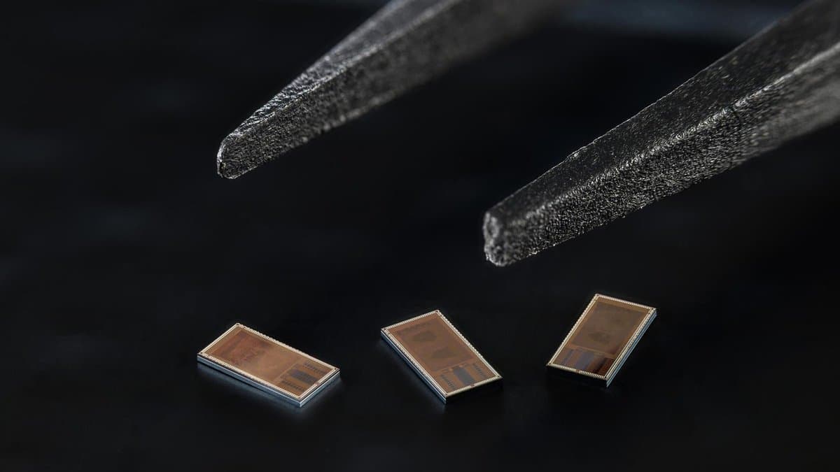 Chip neural implantável decodifica a interação entre regiões do cérebro