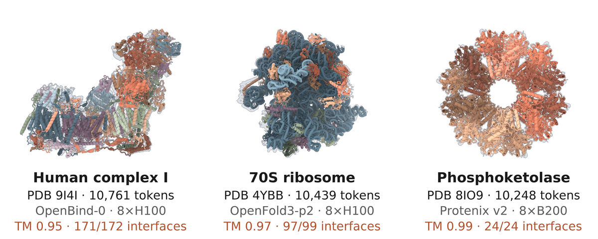 Claude impulsiona a modelagem biomolecular com otimização e modo de baixa memória
