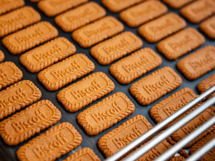 Biscoff cookies aligned on a tray in a bakery