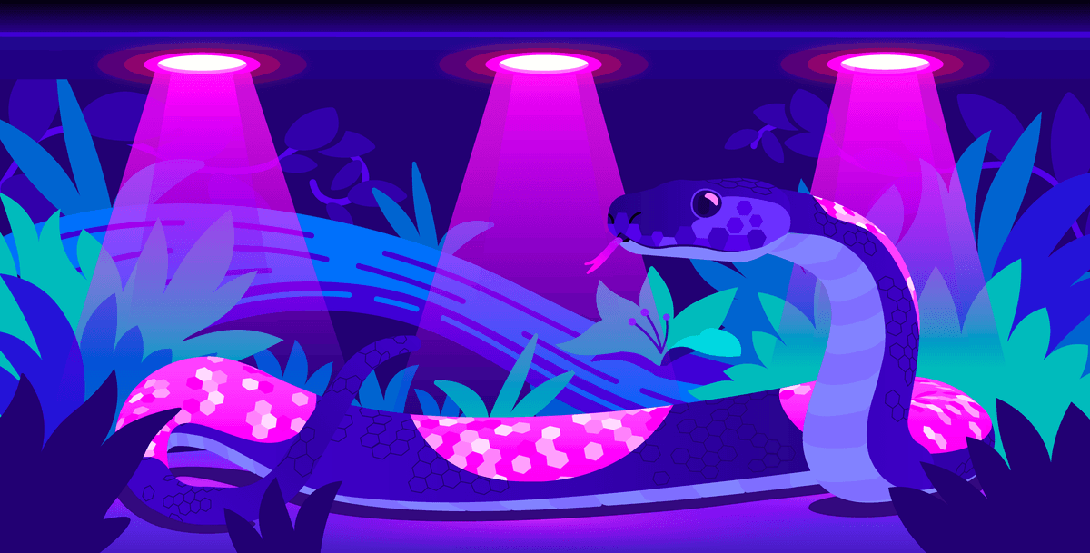 Datadog lança GuardDog 3.0 com novo motor de regras e sandboxing transparente