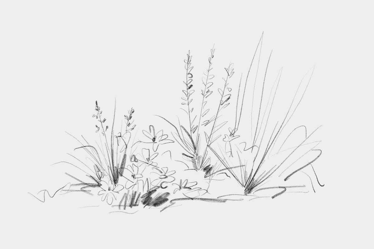 Design como um jardim