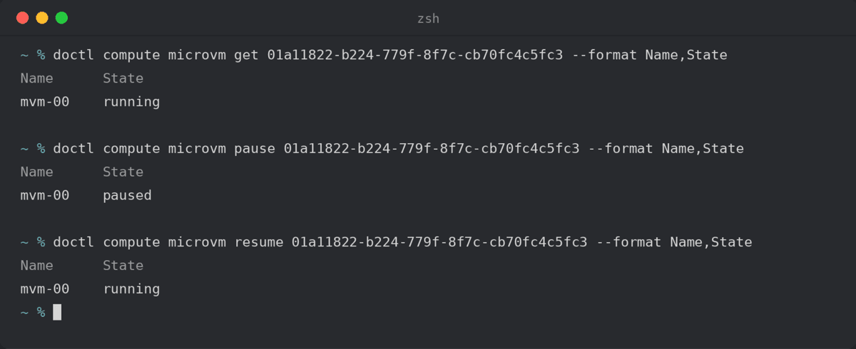 MicroVM paus