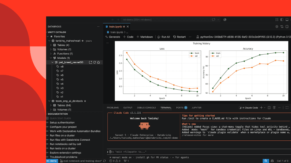 Execute, depure e escale workloads Databricks do seu IDE local