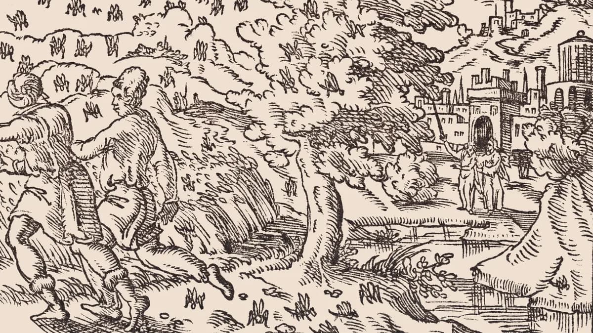 An artistic depiction of the biblical plague of locusts.