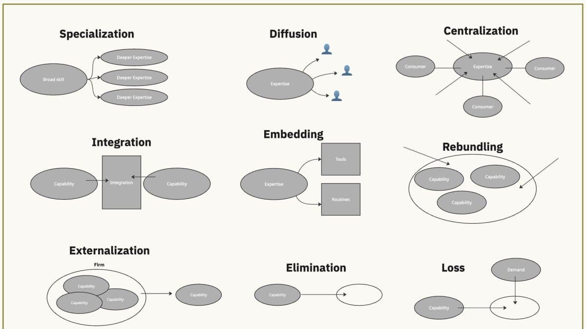 IA e a reorganização de capacidades: eficiência vs. expertise