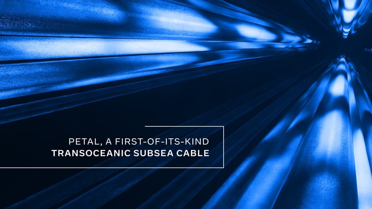 Meta anuncia Petal, o primeiro cabo submarino transoceânico com capacidade petabit usando fibra de 2 núcleos