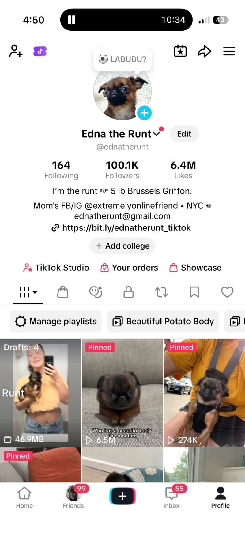Não deixe seu conteúdo morrer após uma única publicação
