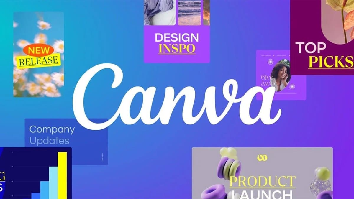 Por que o Canva ainda é tratado como um segredo vergonhoso?