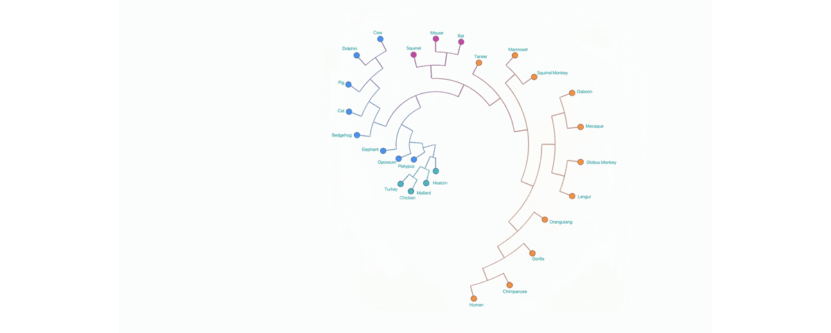 Qual o maior projeto de software que a IA pode completar sozinha?