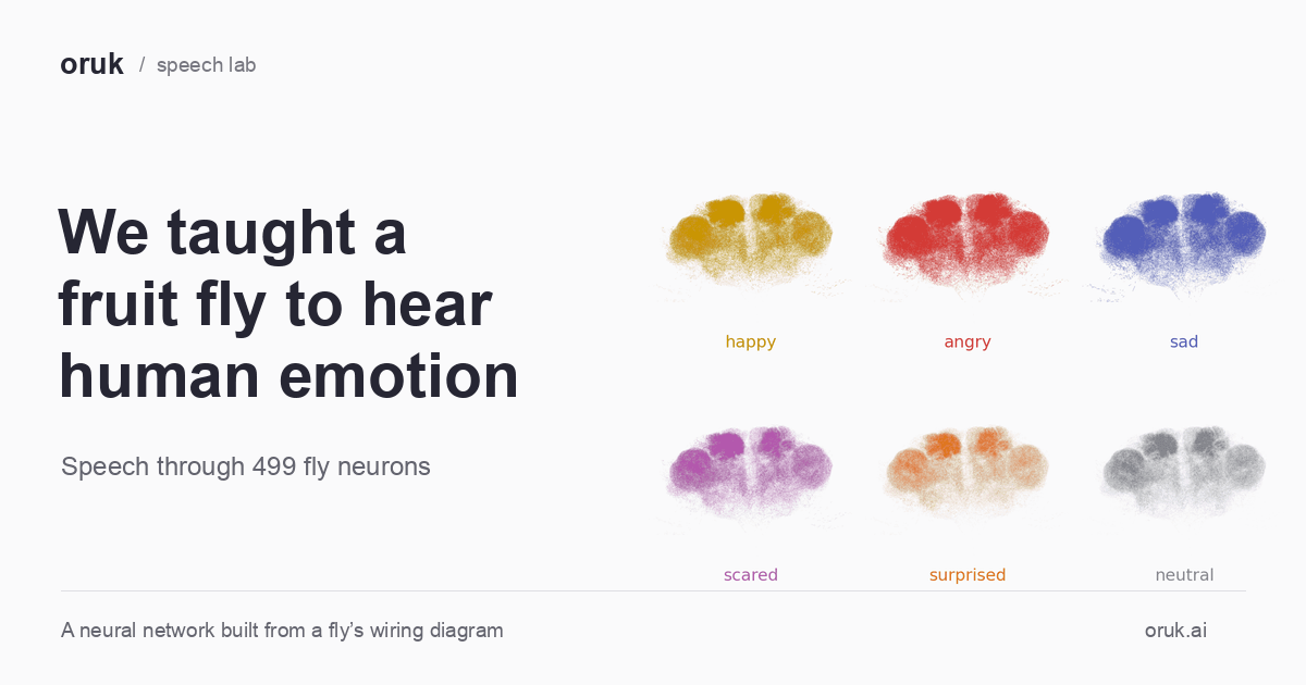 Rede neural baseada em cérebro de mosca da fruta aprende a identificar emoções humanas
