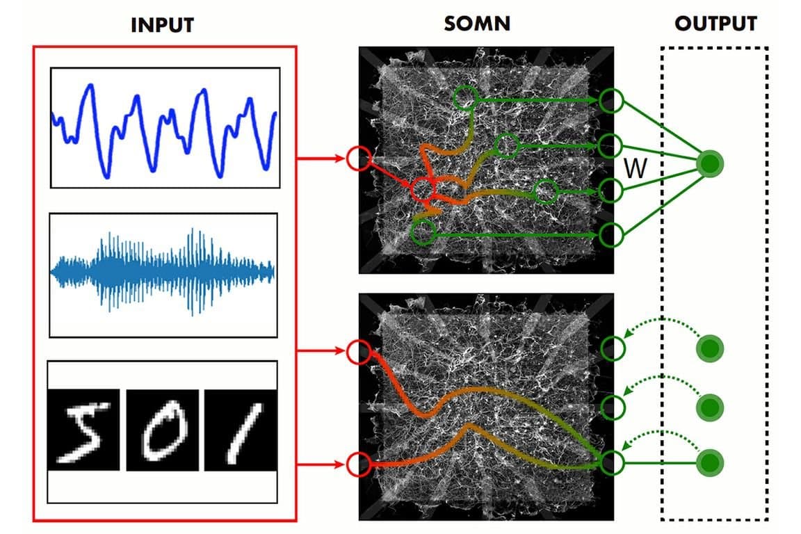 Redes de nanowires pioneiras da UCLA se reconfiguram fisicamente para computar, sem exigir redes neurais de software
