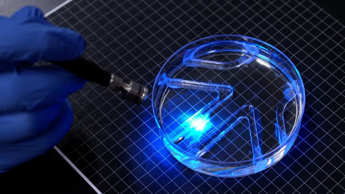 Robô nadador do MIT é guiado por luz e usa uma camada de músculo vivo mais fina que um fio de cabelo