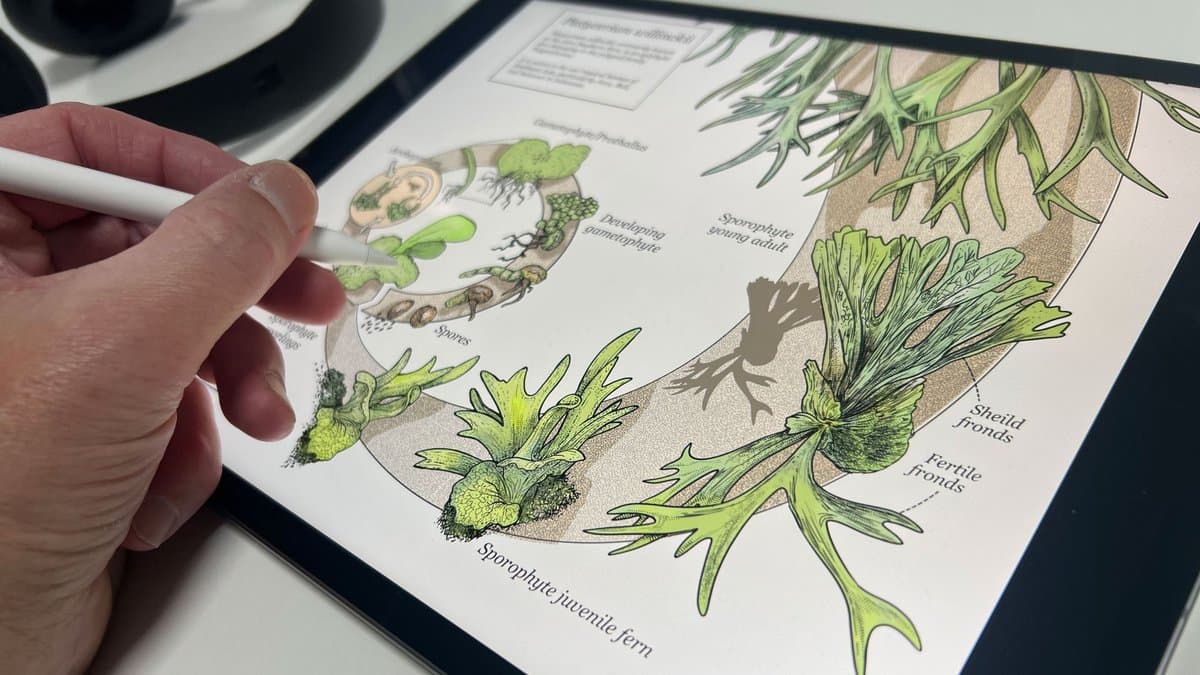 Testando o iPad Air M4 com artistas multidisciplinares: será que ele é suficiente?