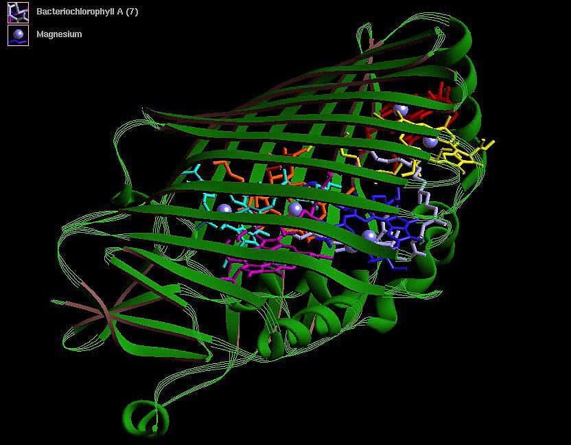 Vibe genes? Linguagem natural chega a softwares de design de proteínas e genomas