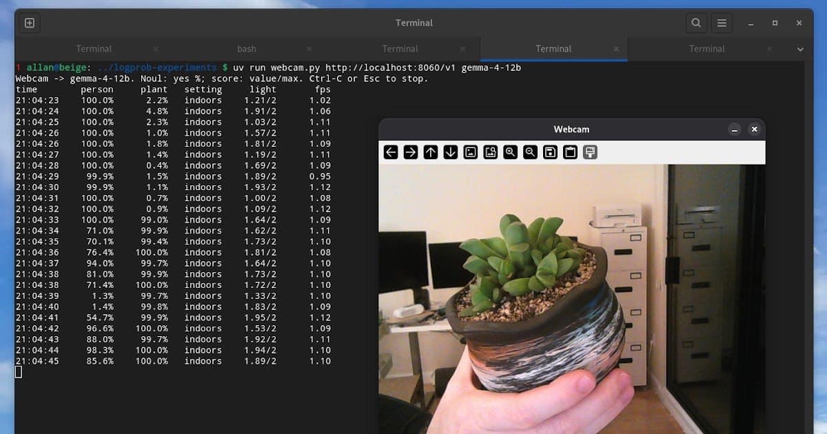 Wrapper Python para LLMs, incluindo modelos de visão, classifica e pontua saídas como Jev
